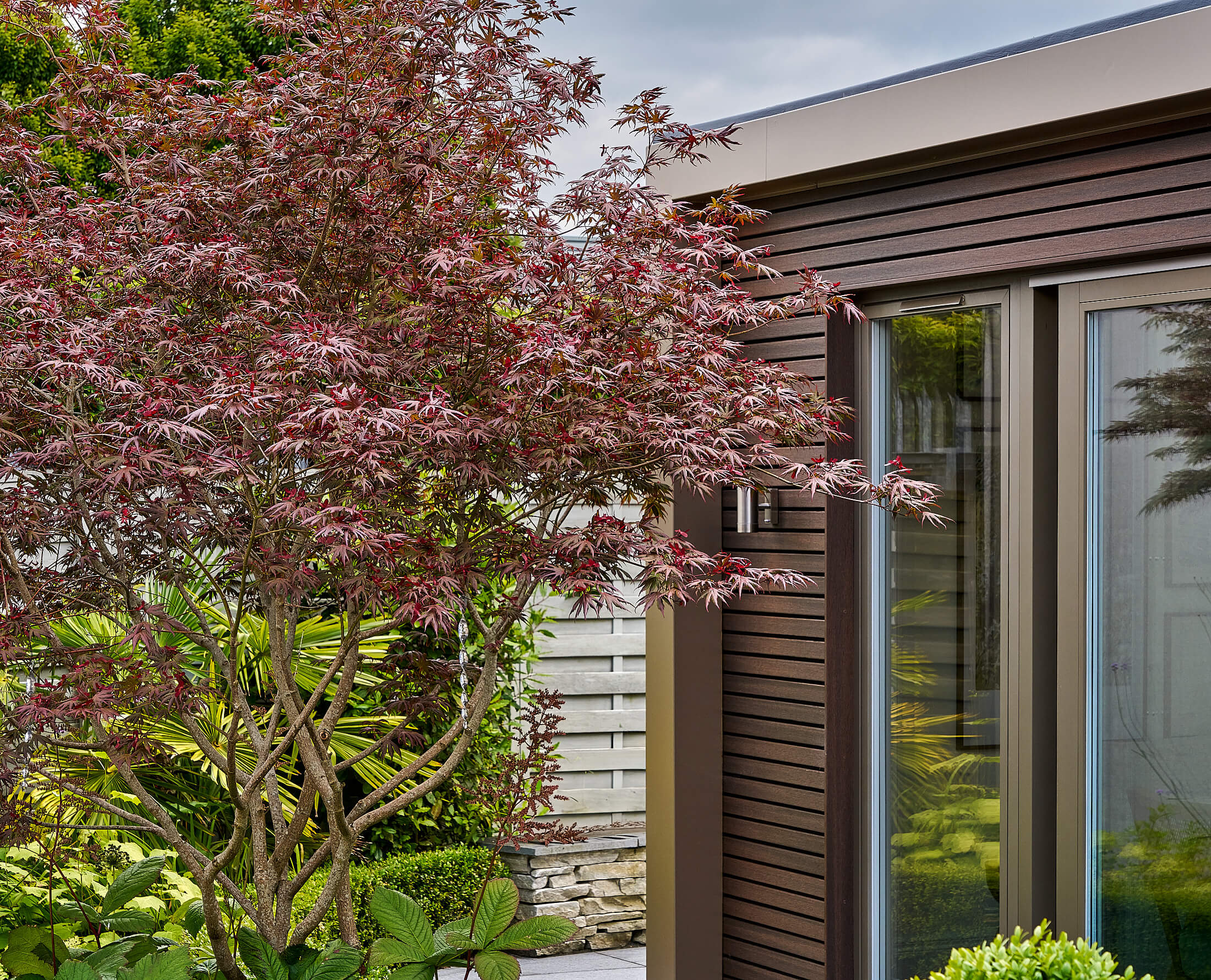 A dark timber-clad Shomera garden studio at the Shomera Village show area, its glazed doors framed by a red Japanese maple